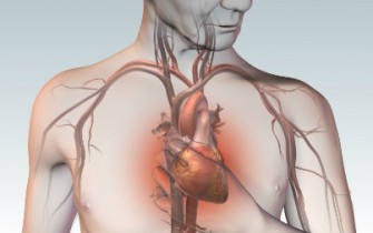 Ишемическая болезнь сердца, стенокардия и правила жизни. Часть первая.