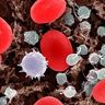 Введены новые диагностические исследования крови методом ИФА (онкомаркеры).